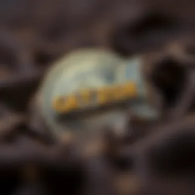 Notable 바이트에서 헥스로: 디지털 데이터 변환의 기초