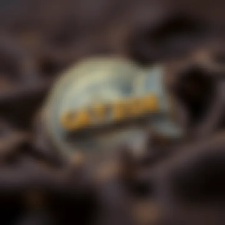 Notable 바이트에서 헥스로: 디지털 데이터 변환의 기초