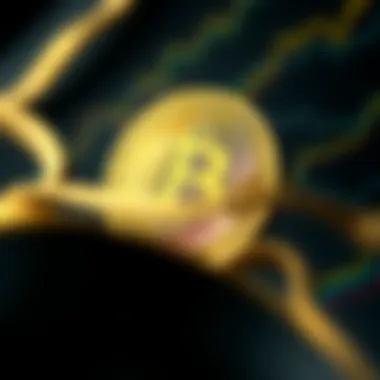 Understanding Bitcoin Payment Structure Visual representation of the Bitcoin payment structure