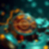 Innovative features of Hedera blockchain