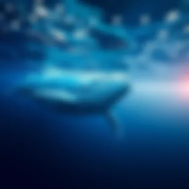 Conservation Efforts for Blue Whales Conservation efforts aimed at protecting blue whales and their habitats