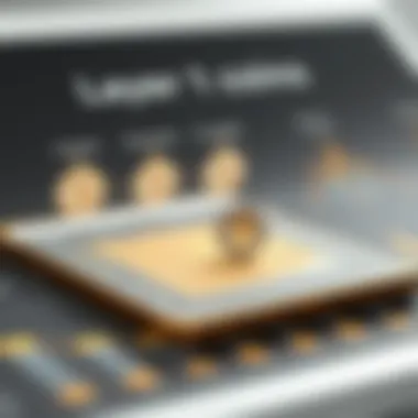 Functionality of Layer 1 Coins Explained Infographic illustrating the functionality of Layer 1 coins