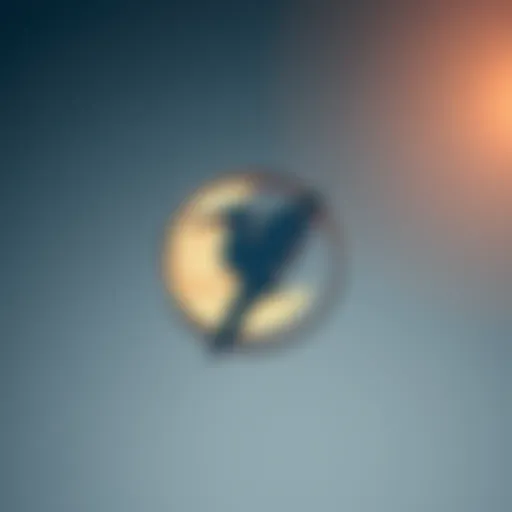 The Emblem of Moonbird Moonbird logo representing the cryptocurrency project