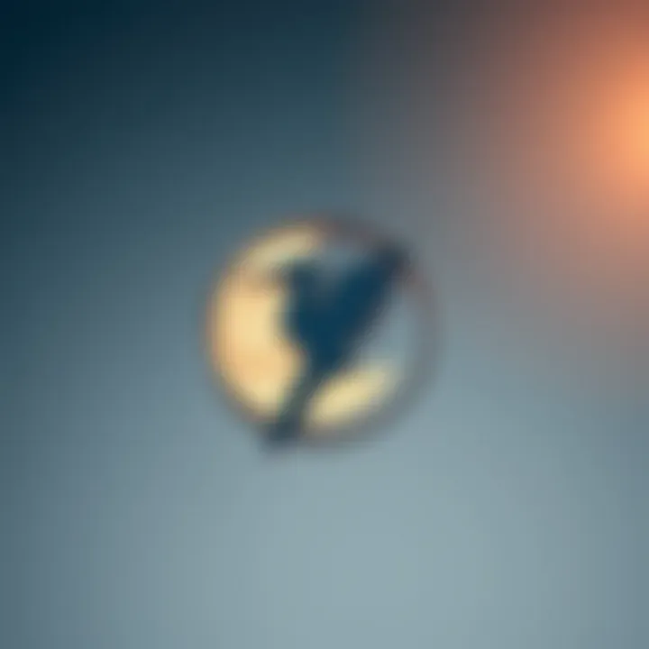 The Emblem of Moonbird Moonbird logo representing the cryptocurrency project