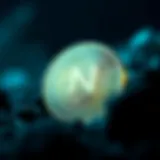 A visual representation of Neoxa Coin in the blockchain ecosystem