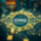 Architecture of OMG Network Diagram illustrating the architecture of OMG Network