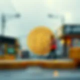 폰지 스킴: 정의, 역사 및 영향 분석 Introduction