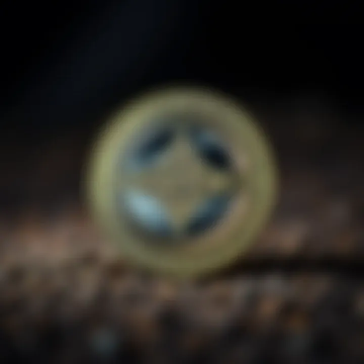 Understanding SFP Coin: Functionality and Blockchain Integration Overview of SFP coin's functionality and blockchain integration