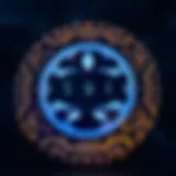 Sui Foundation logo representation